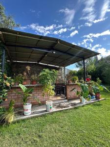 Zahrada ubytování LA CASA DE RICKY "El balcón de las Montañas"