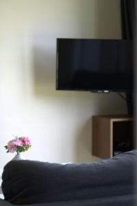 TV a/nebo společenská místnost v ubytování 't Gulpdal Hotel Voeren-Teuven