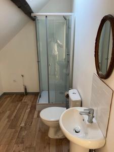 a bathroom with a shower and a toilet and a sink at Appartement asskaf spacieux T2 in Cambrai