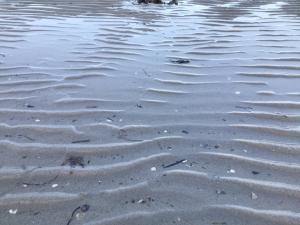 a body of water with ripples in the sand at Strandhuset in Broager +18 photos