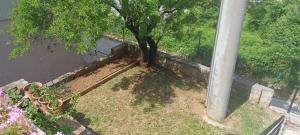Zahrada ubytování Croatia Apartman Masa