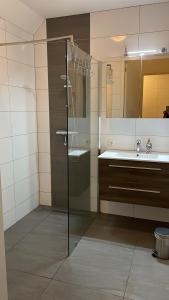 une salle de bain avec douche et lavabo dans l'établissement Nieuw gebouwd appartement op paarden bedrijf, à Buitenpost
