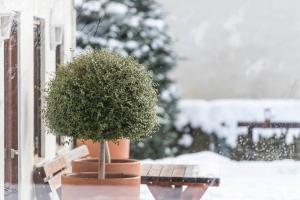 Hotel Oberbrunn during the winter