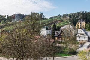 een klein stadje met huizen op een heuvel bij Apartament u Renaty in Krynica Zdrój