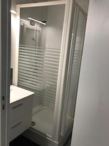a bathroom with a shower with a sink and a glass shower door at La SOURCE FROIDE in Eaux-Bonnes +3 photos