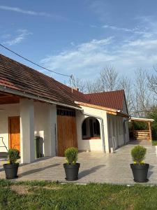 a house with two potted plants in front of it at Sárffy Vendégház in Szőce