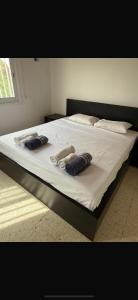 Gallery image of Sun Retreat Meneou in Mor Menekshe