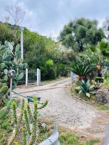 Zahrada ubytování Casa Colonica