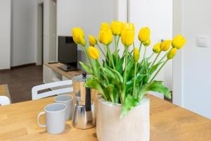 Μια τηλεόραση ή/και κέντρο ψυχαγωγίας στο Milenial Immo VT1-2 Figueres Dalí Museum and Rambla +17 φωτογραφίες