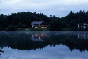 a house on the shore of a lake at night at Landgasthof Trattnig in Schiefling am See