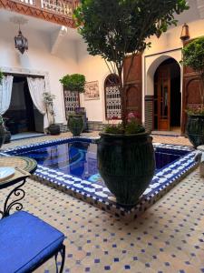 Bazén v ubytování Riad Malida Marrakech nebo v jeho okolí