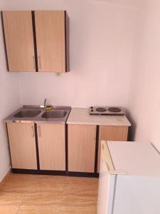 Dapur atau dapur kecil di EKI Smeštaj