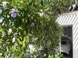 Zahrada ubytování Luxury 160 m2 Penthouse with Green Terrace + 52 fotografií