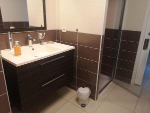 a bathroom with a sink and a shower at appartement 2 pieces avec parking ds résidence in Palavas-les-Flots +5 photos