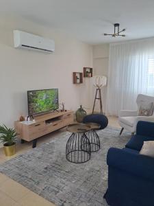 TV a/nebo společenská místnost v ubytování Blue Boutique Flat