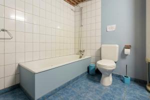 a bathroom with a bath tub and a toilet at La fermette de Gustine in Manhay +17 photos