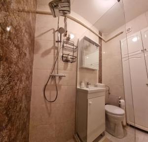 a bathroom with a shower with a toilet and a sink at Demjén ház in Nyíregyháza +21 photos