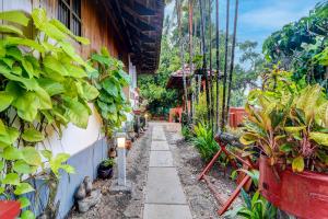 Zahrada ubytování Alaya Stays Palm Dale Heritage Backwater Retreat with Garden & Restaurant