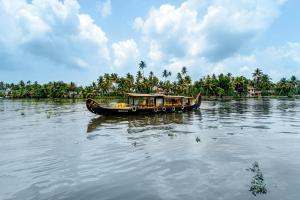 Příroda nedaleko rezortu