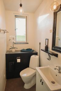 un bagno con un water bianco e un lavandino di Ferieidyl a Kettinge