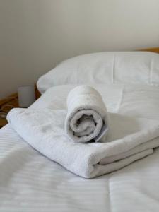 Łóżko lub łóżka w pokoju w obiekcie Appartement Berger
