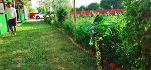 Una mujer caminando por un patio junto a un seto. en AJ Vacational Villa Rajgarh, Alwar, en Mālākhera