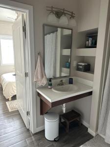トラバースシティにあるCozy Flat in Downtown TCの洗面台と鏡のあるバスルーム