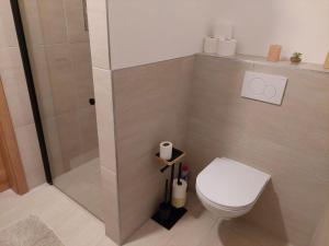 a bathroom with a toilet and a shower at Weitblick Hof Tiny House in Sankt Paul im Lavanttal