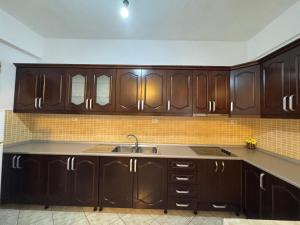 Η κουζίνα ή μικρή κουζίνα στο Vila Hergi