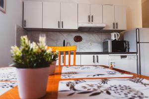 Kuchyň nebo kuchyňský kout v ubytování Apartmani Trupeljak