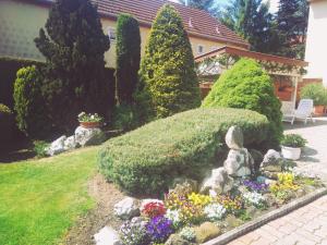 Vonkajšia záhrada v ubytovaní Klára Villa Hévíz