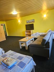 Televiisor ja/või meelelahutuskeskus majutusasutuses Guest House Pod Lesem Merklín