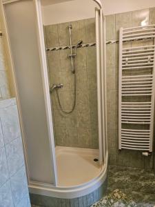 Vannituba majutusasutuses Guest House Pod Lesem Merklín