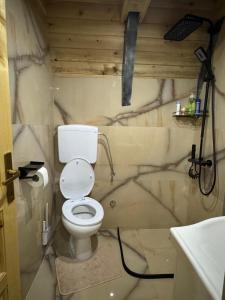 a bathroom with a toilet and a sink at Tara lux in Mojkovac +24 photos