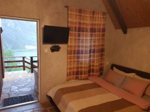 a bedroom with a bed and a tv and a window at Detached house Milivoje in Pošćenje