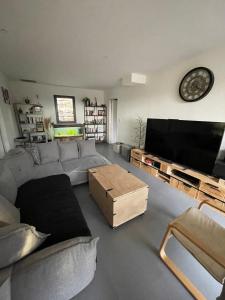 a living room with a couch and a flat screen tv at House with pool between Nîmes and Montpellier in Vauvert