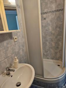 Vannituba majutusasutuses Guest House Pod Lesem Merklín