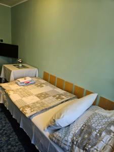 Voodi või voodid majutusasutuse Guest House Pod Lesem Merklín toas
