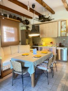 Кухня или мини-кухня в Mikael Pool Villa Paliouri

