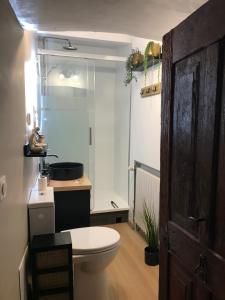 a bathroom with a toilet and a sink and a shower at Le vieux colombier in Le Monastier sur Gazeille