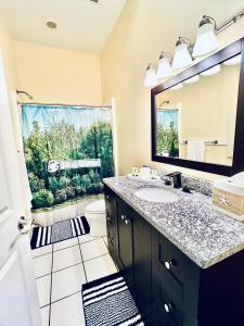 a bathroom with a sink and a mirror at Downtown, Roof Deck, Parking in Saugatuck