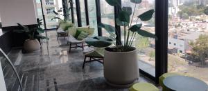 Φωτογραφία από το άλμπουμ του Departamento en zona de lujo con alberca y gym σε Guadalajara +58 φωτογραφίες