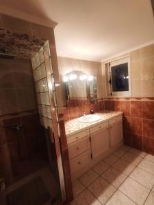 a bathroom with a sink and a shower at Location dans les Landes et le Pays basque in Labenne
