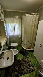 a bathroom with a sink and a shower at Country House Srček in Bizeljsko +13 photos