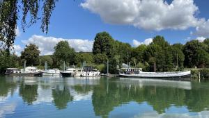 a group of boats are docked in a river at Duplex 4 couchages chaleureux gare sur place in Nogent-lʼArtaud +4 photos