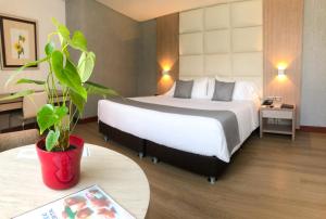 a hotel room with a bed and a potted plant at Hotel San Fernando Plaza in Medellín
