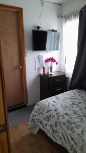 Fotografie z fotogalerie ubytování Hostal Girasol 3 v destinaci Chillán