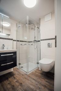 a bathroom with a shower and a toilet and a sink at CBlue "Zickerstuuv", Wasserblick, in der Natur, Grill in Groß Zicker