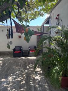 une maison avec deux chaises et un arbre dans l'établissement Aruba Cottage, à Oranjestad