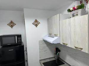 Η κουζίνα ή μικρή κουζίνα στο Affordable 1Br Apt in Downtown